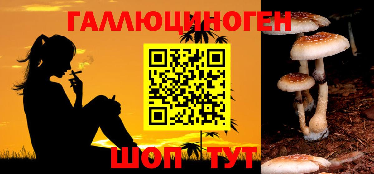 Елизово  Галлюциногенные грибы ЛСД  Вход с VPN 