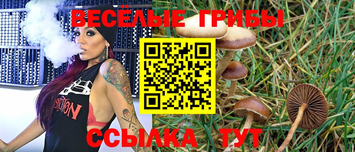 Галлюциногенные грибы Cubensis Елизово